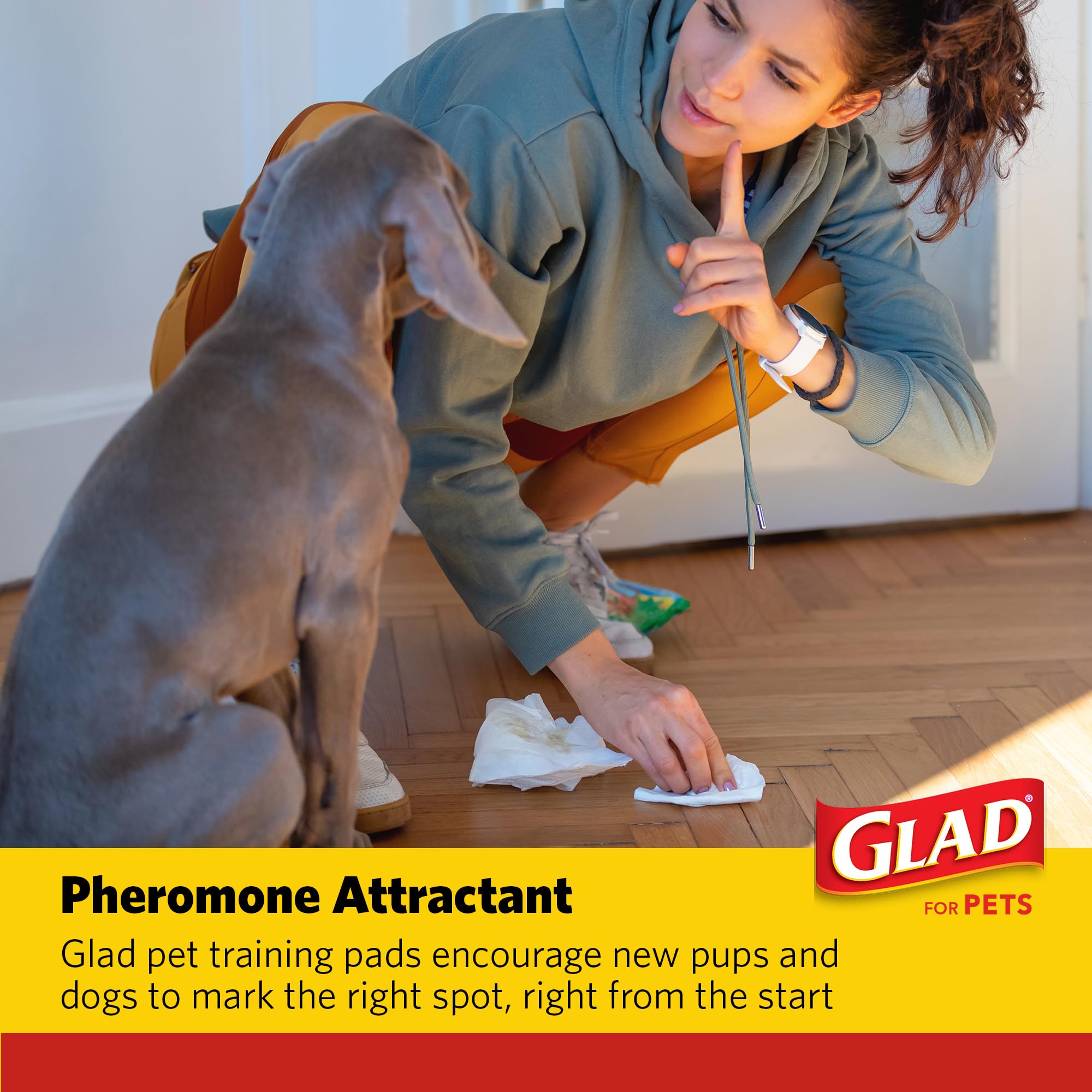 Glad for Pets training pad inside a crate for crate time