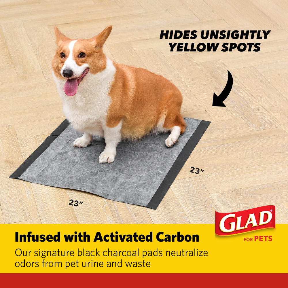 Glad for Pets pad in travel setup for portable indoor relief