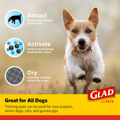 Glad for Pets six-layer design shown for fast absorption up to four cups.