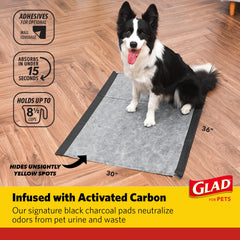 Glad adhesive-edge puppy pad in use demonstrating secure placement