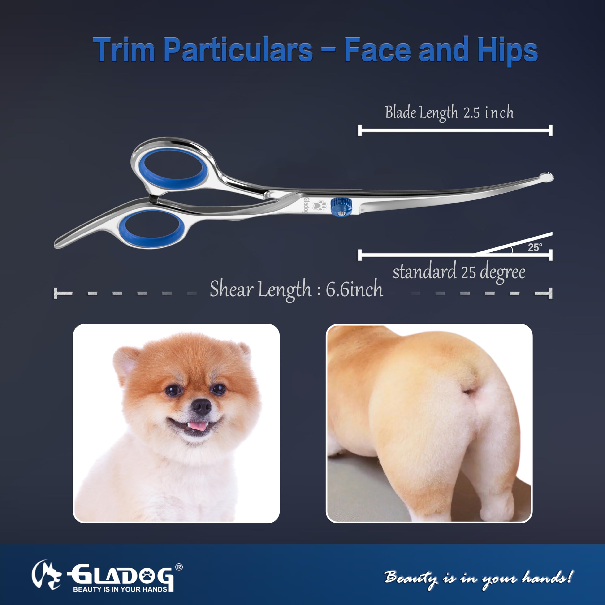 GLADOG straight grooming scissor (6.5 in) for clean, even cuts.