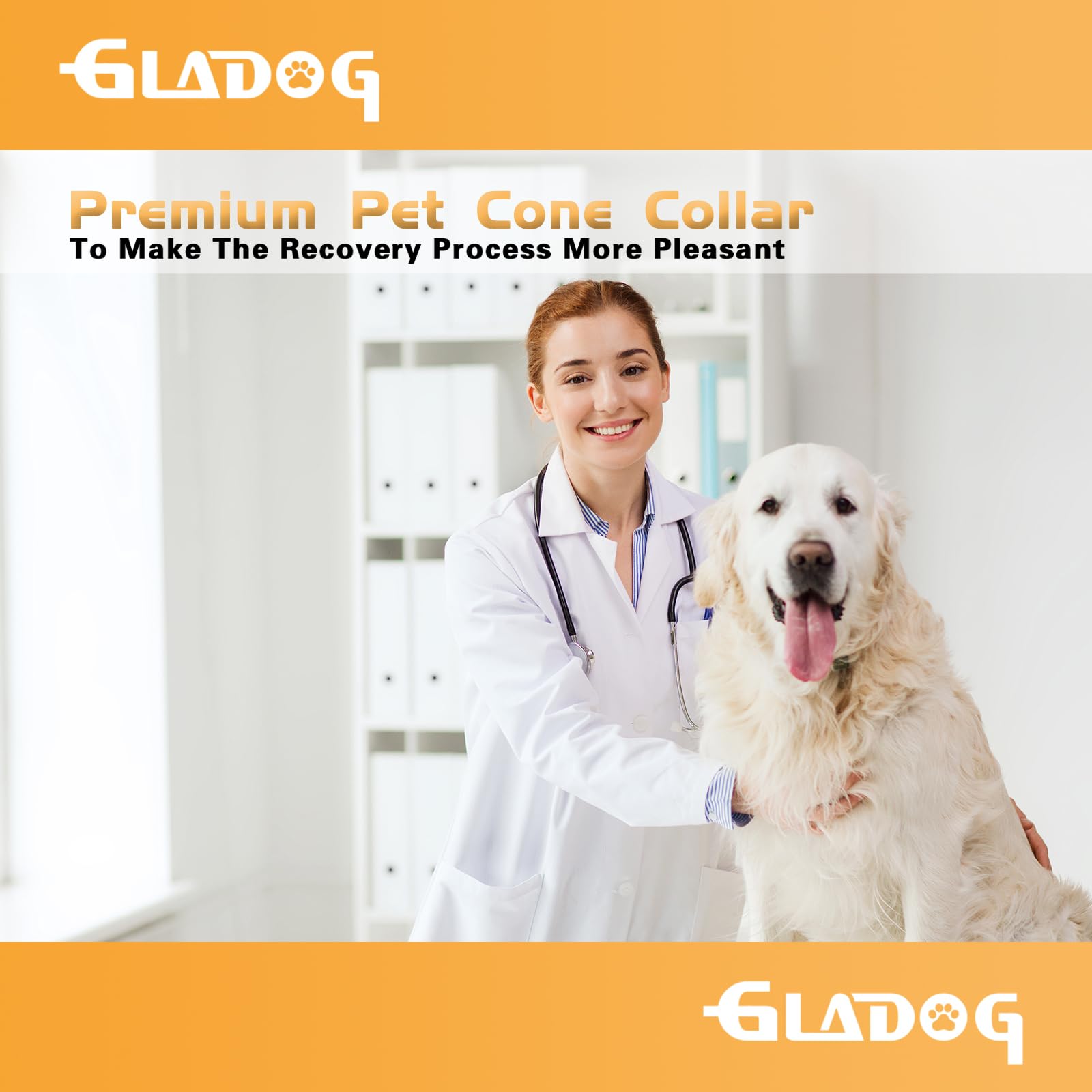 GLADOG cone suitable for grooming and nail trimming sessions.