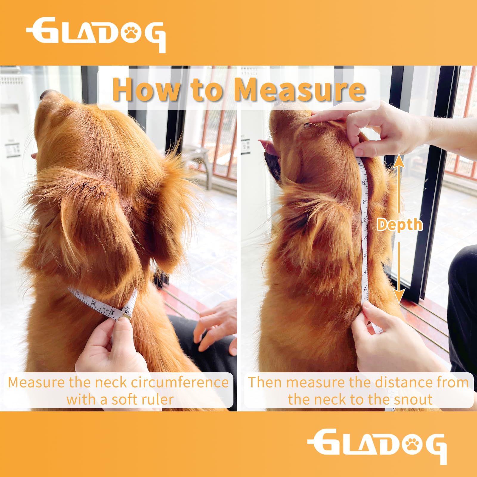 GLADOG lightweight PVC dog collar offers comfort without neck strain.