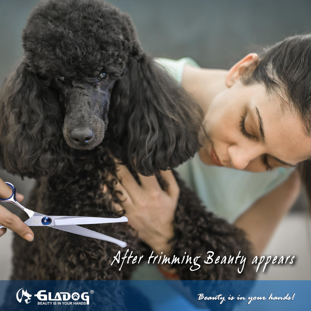 GLADOG pet comb and cleaning cloth case for tidy grooming setup.