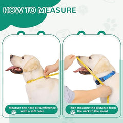 GLADOG cone collar transparent plastic maintains visibility