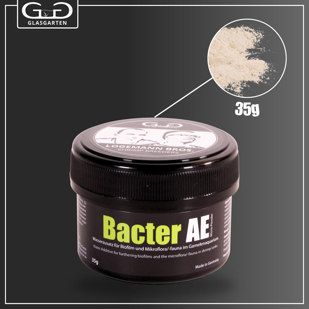 GlasGarten Bacter AE bacteria cultures awakening in water for biofilm growth