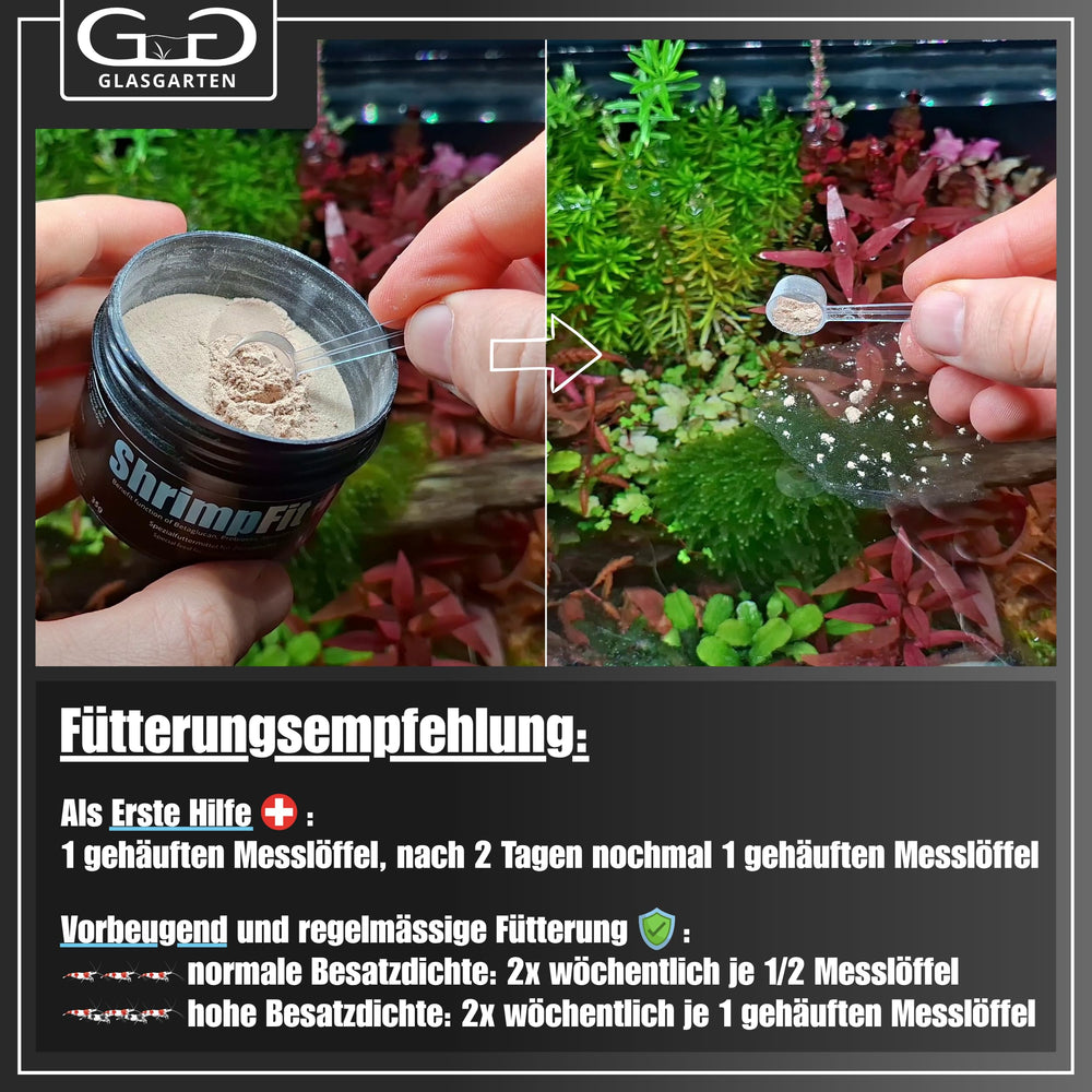 Using GlasGarten ShrimpFit in an aquarium for healthy shrimp.