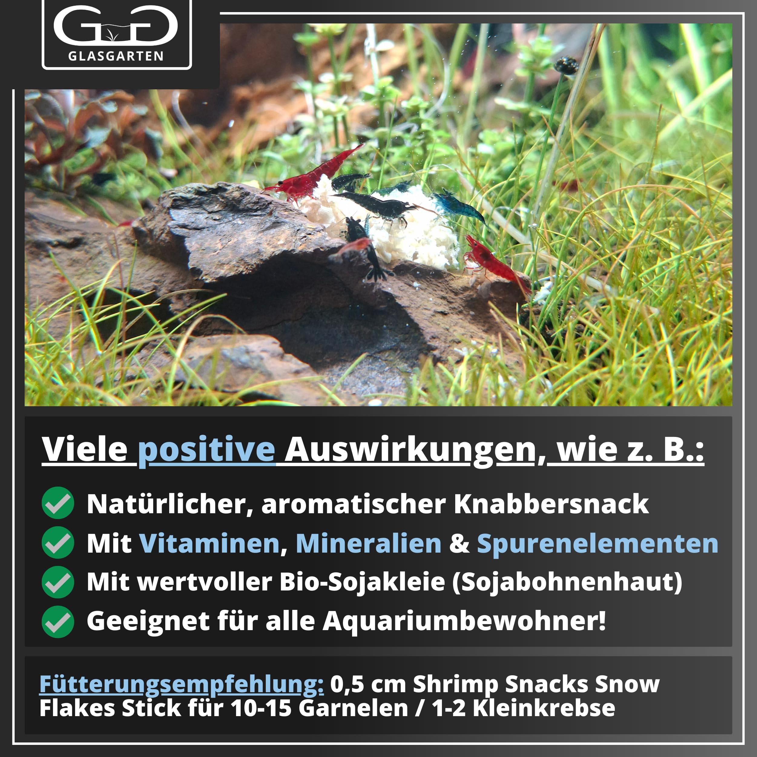 GlasGarten Snow Flakes with leaf litter and mycelia growth concept
