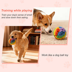 GLIDESMOOTH snuffle ball with storage bag keeps playtime tidy.