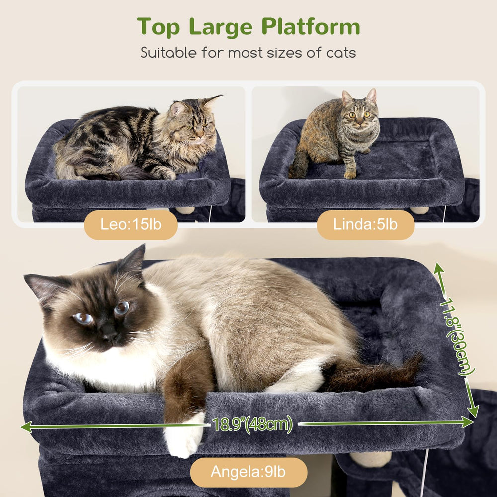 Globlazer three cat condos provide private spaces for each feline and relaxed downtime.