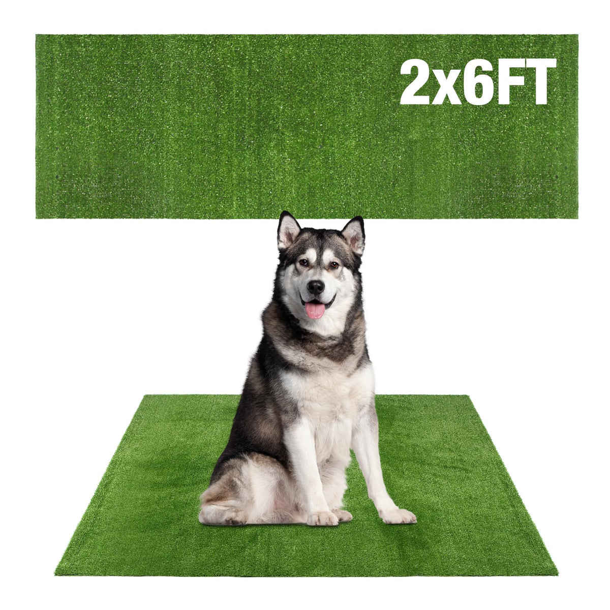 GLOBREEN Grass Pad for large dogs in an indoor outdoor setup.