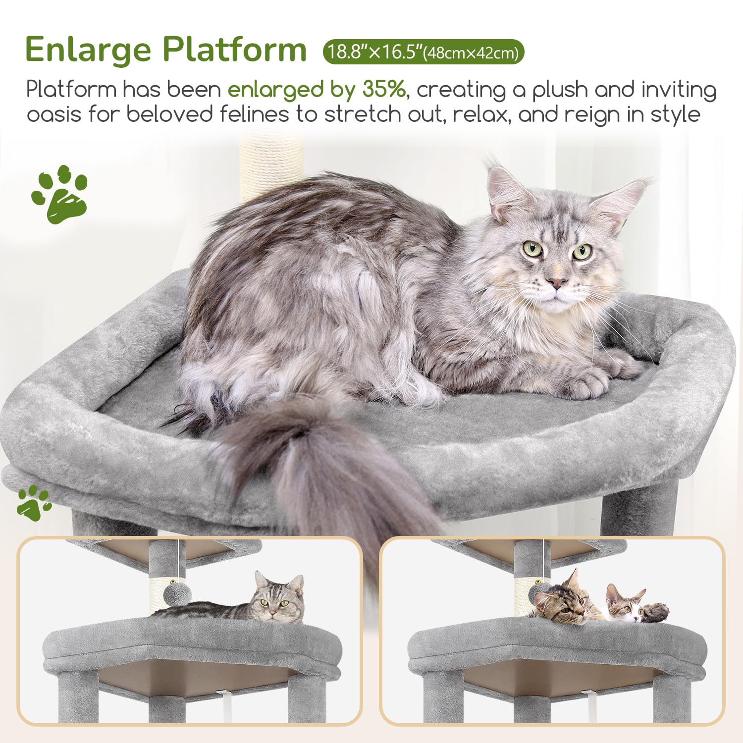 Globlazer hammock attracts relaxed lounging on the cat tree