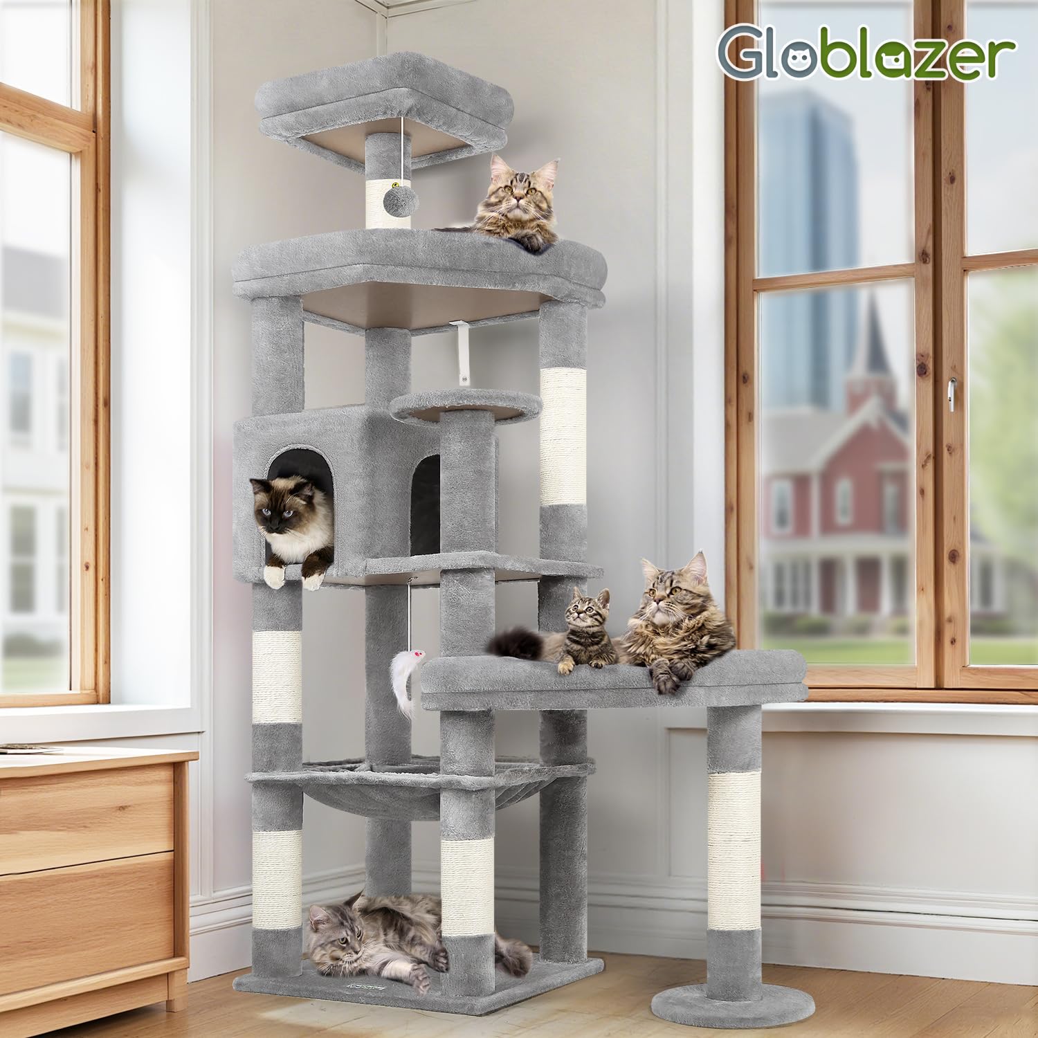 Globlazer multi-cat setup supports shared play and lounging