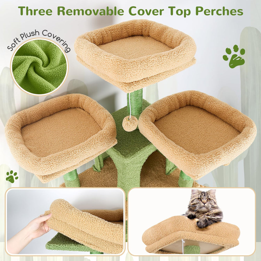 Top perches on Globlazer tower offer elevated views for curious cats.