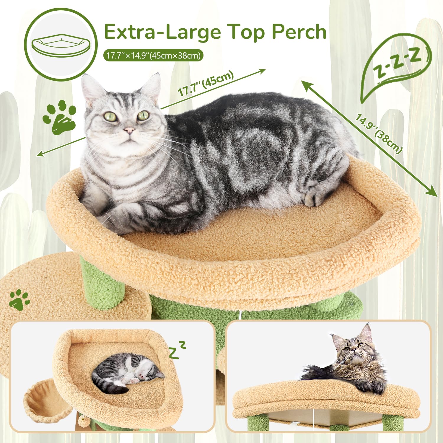 Globlazer C66 spacious platform for multiple cats to lounge