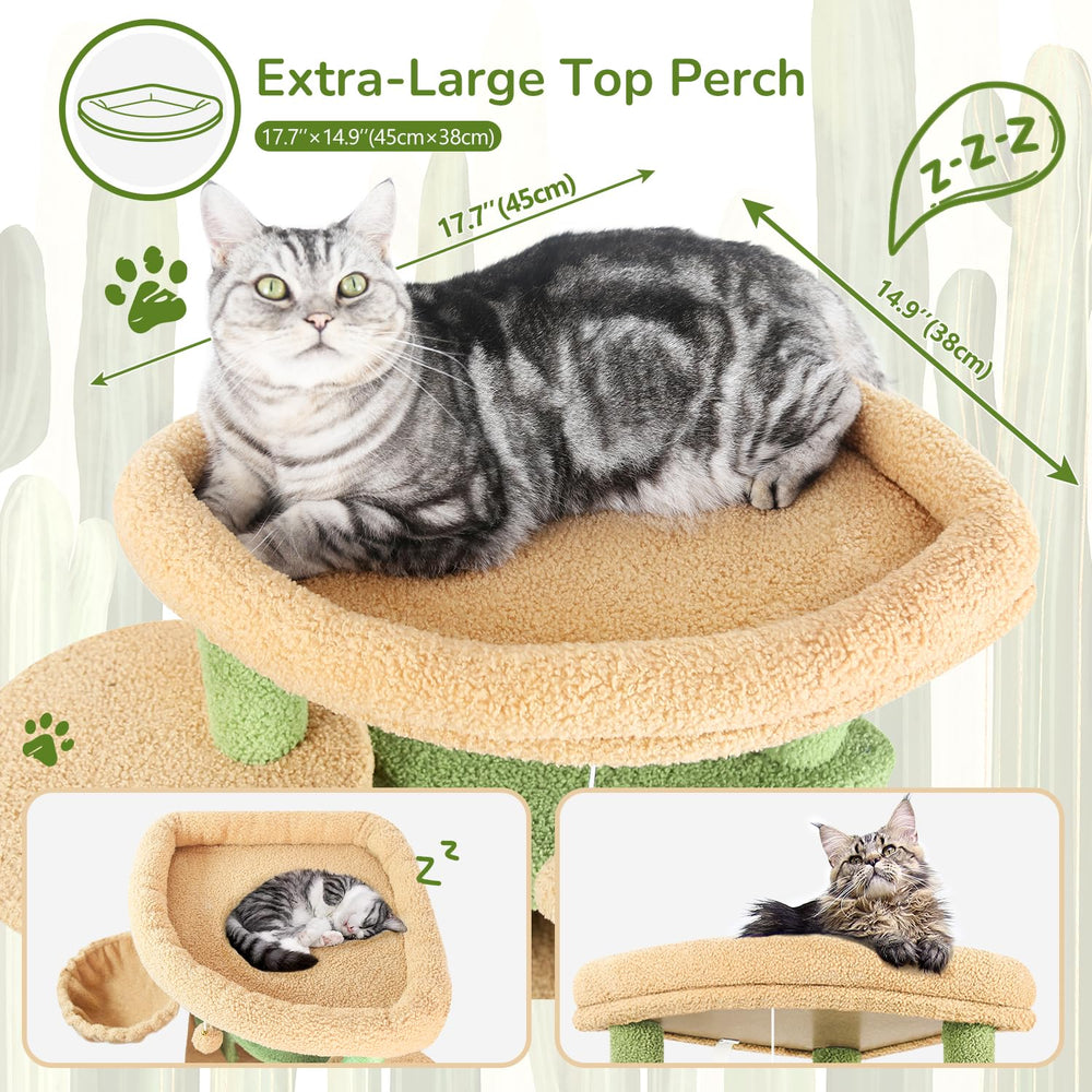 Globlazer C66 spacious platform for multiple cats to lounge