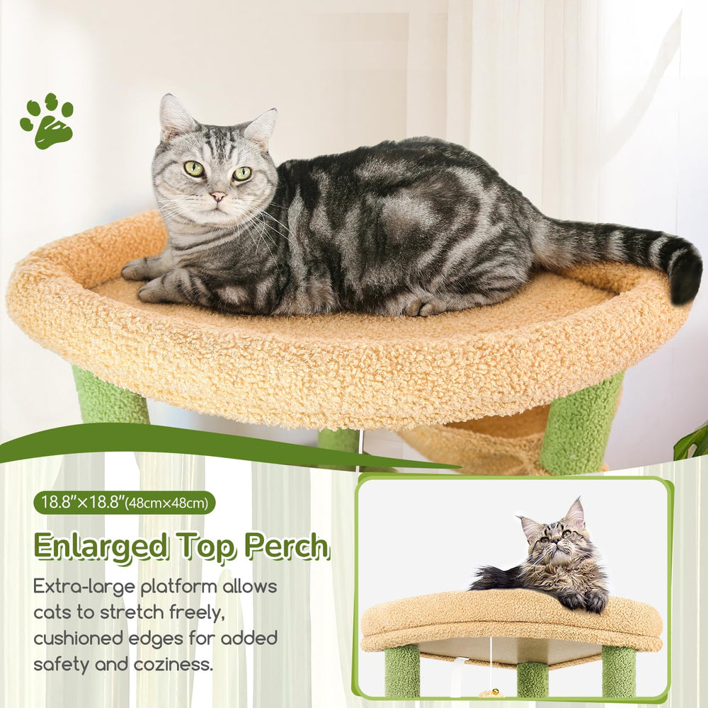 Globlazer cactus cat tree base plate emphasizes stability and safety