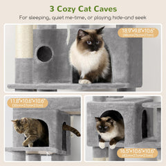 Globlazer cat condo 2 provides cozy space for relaxed play and rest