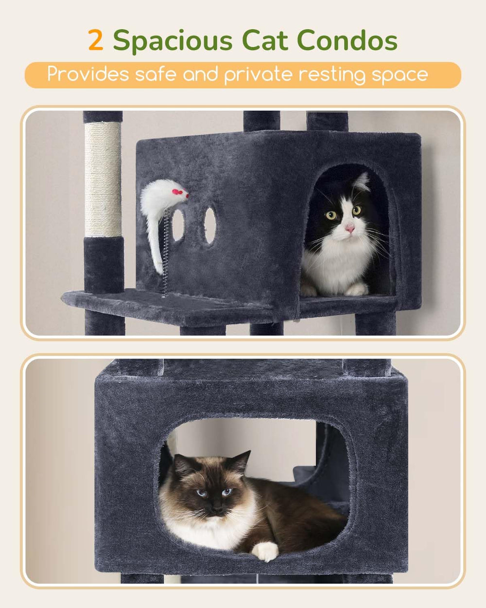 Globlazer sturdy base and anti-tip harness improve stability in multi-cat households.