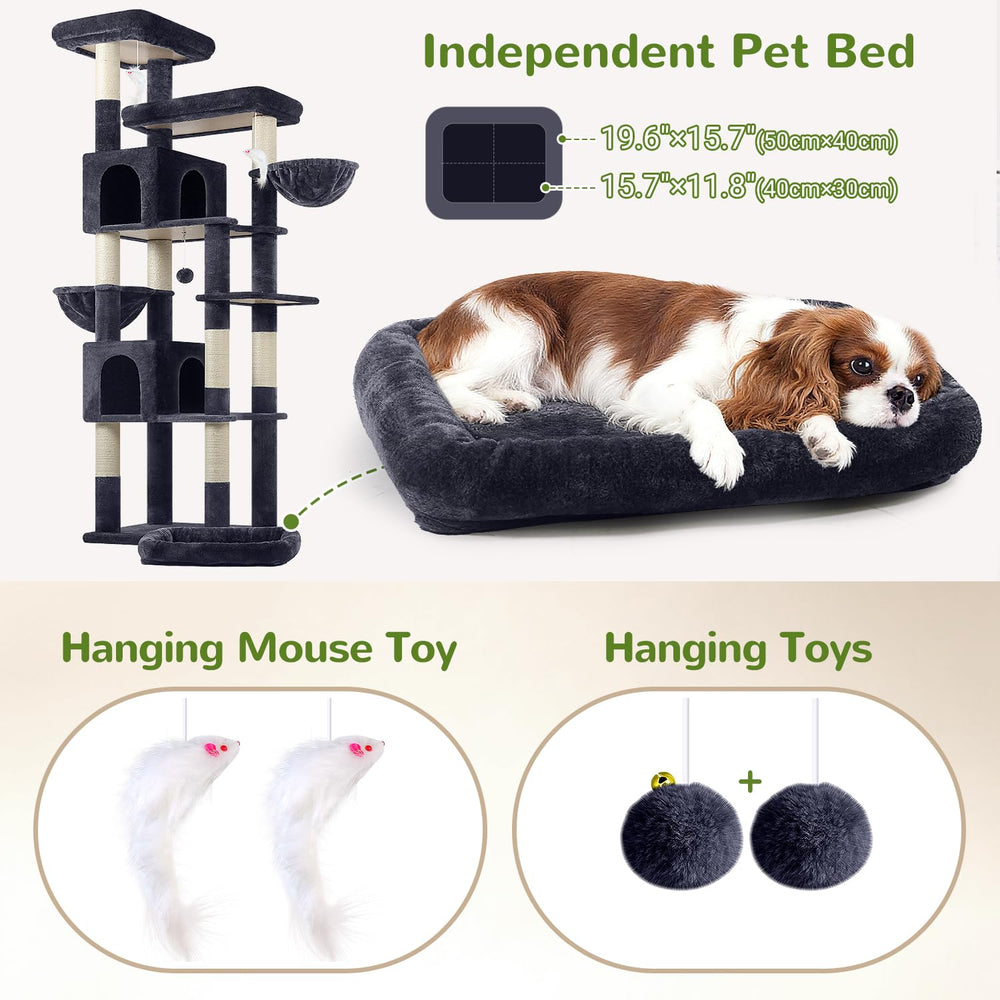 Globlazer cat tree hanging baskets give extra resting spots and perching options.