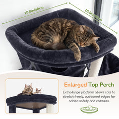 Globlazer XL cat tree large top perch for big cats with wide vantage point