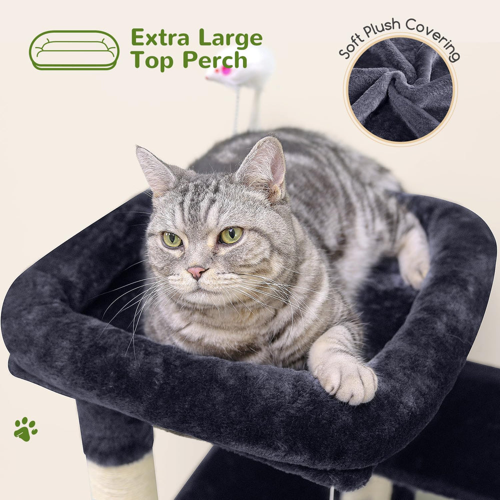 Globlazer cat tree top perch offering a wide view of the room.