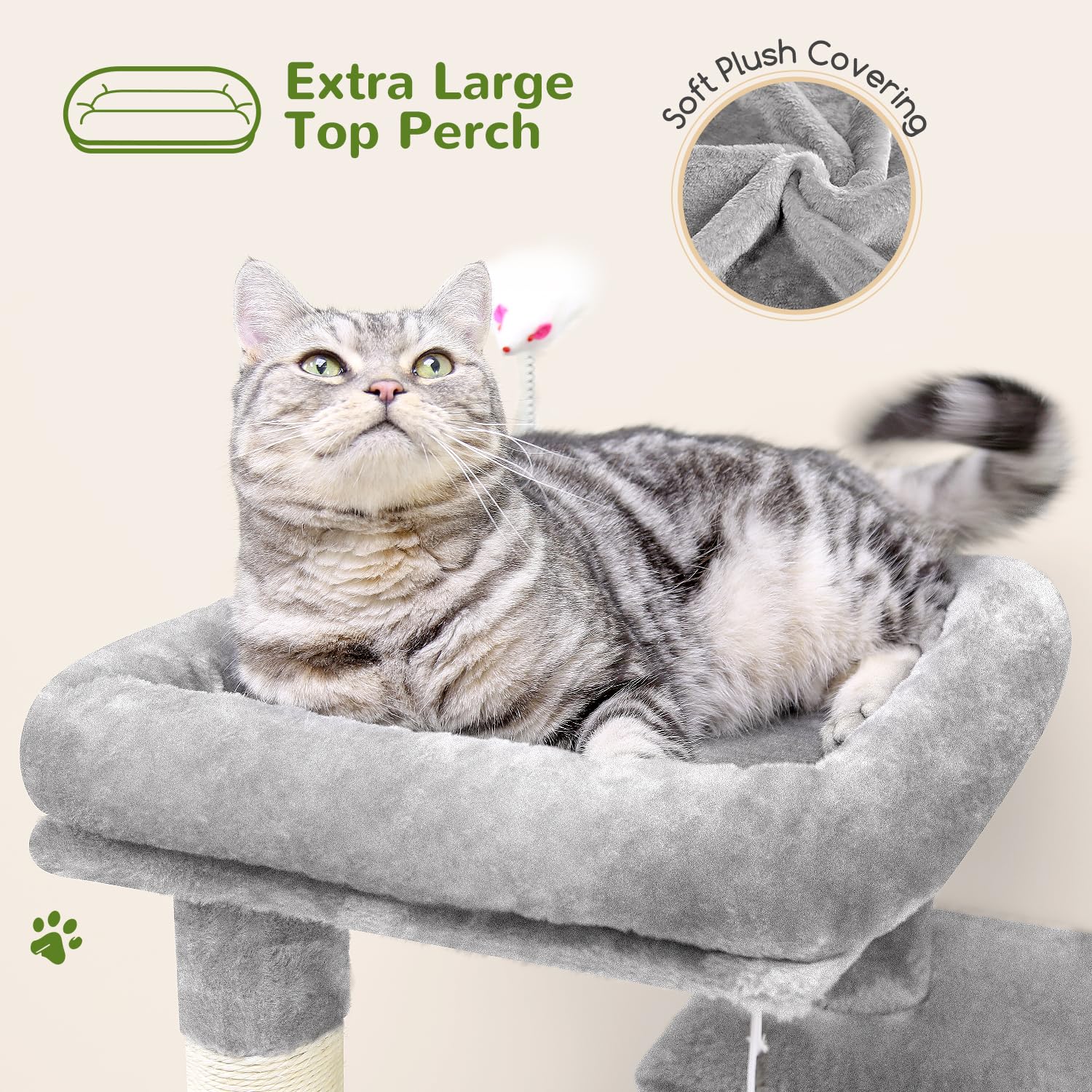 Globlazer 50-inch cat tree includes two caves for indoor exploration.