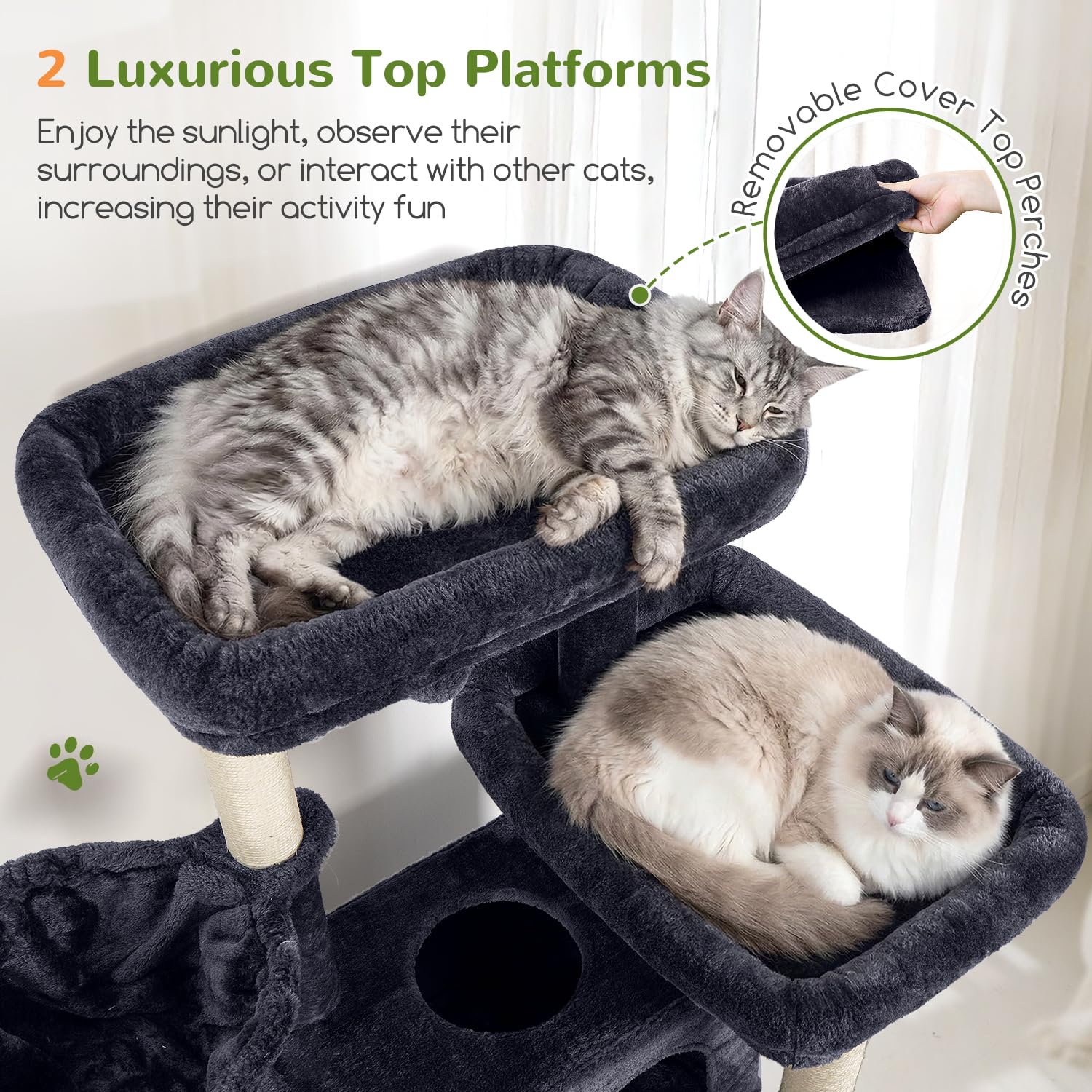 Globlazer cat tree two padded condos provide quiet, cushioned napping spaces