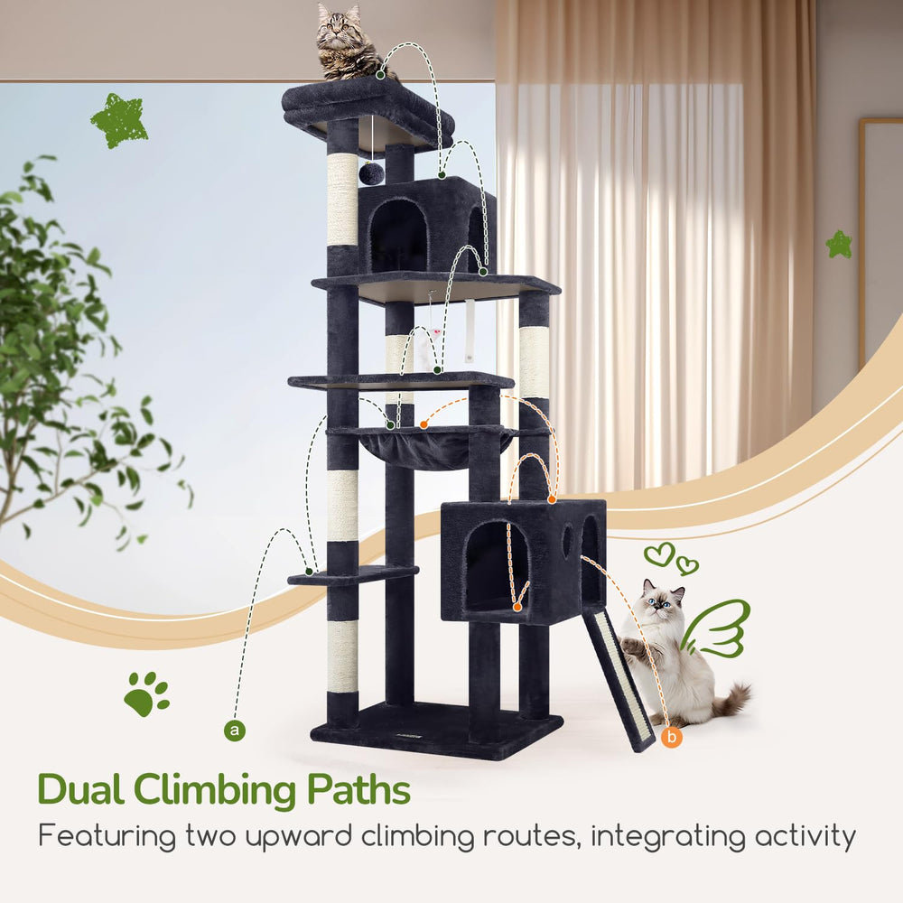 Globlazer dual climbing paths offer varied activity and rest options