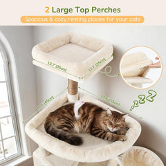 Globlazer condos provide secure, cozy resting spaces for adult cats