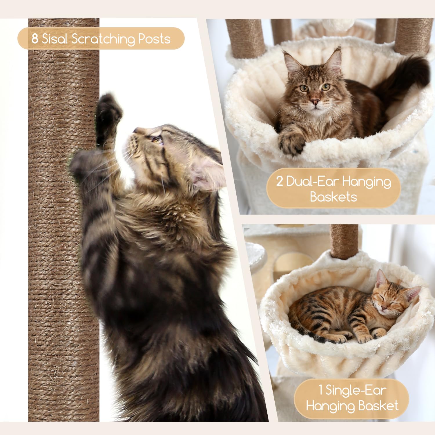 Globlazer hanging baskets create cozy suspended resting spots for multiple cats