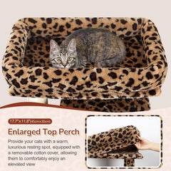Globlazer F70 Pro spacious cat condo for private retreat and play