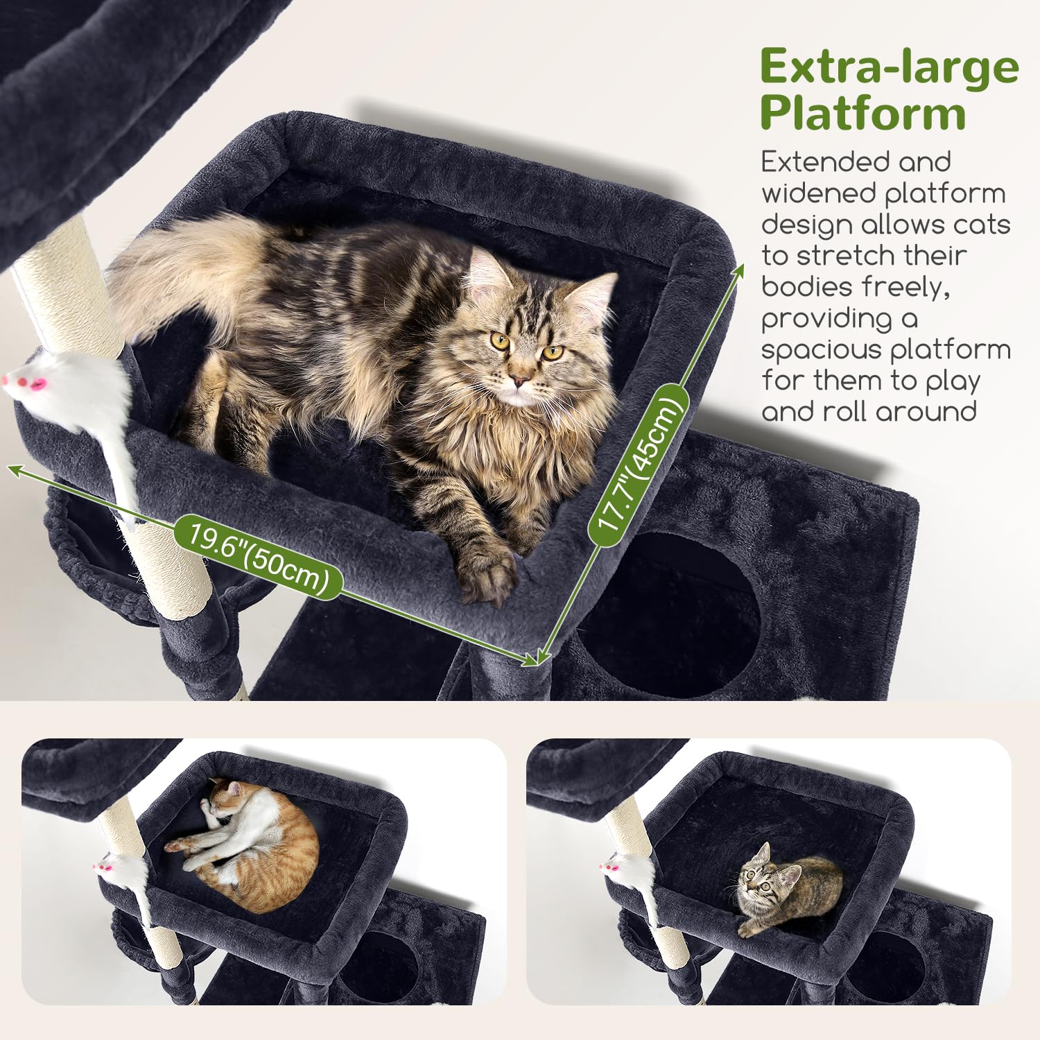 Globlazer F81 cat condo close-up featuring unique caves for curious cats
