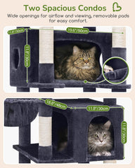 Globlazer two large condos for big cats with ventilation