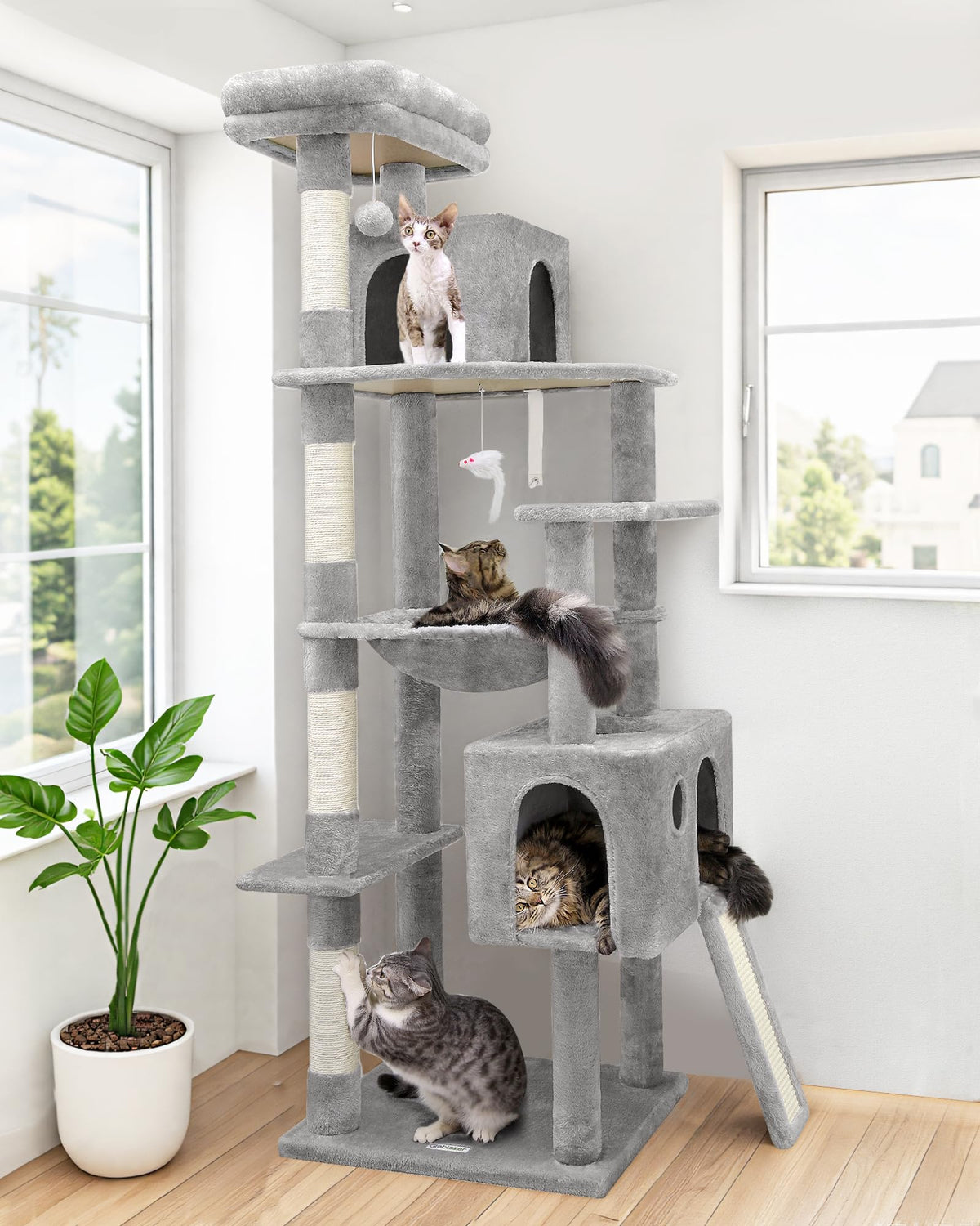 Globlazer 70-inch cat tree hammock offering a cozy lounging spot for adult cats