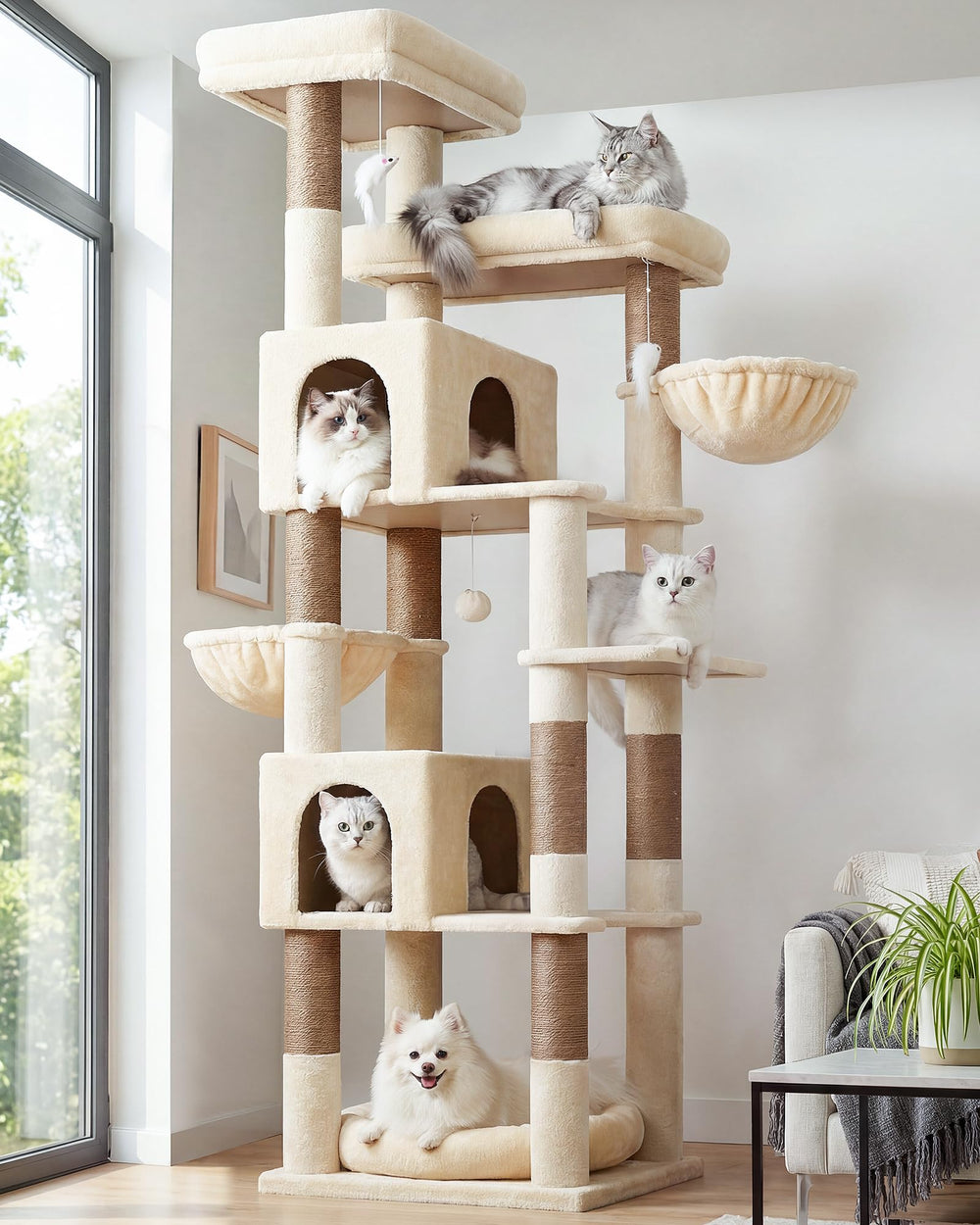 Globlazer 81-inch cat tree top platforms provide elevated observation spots for multi-cat households.