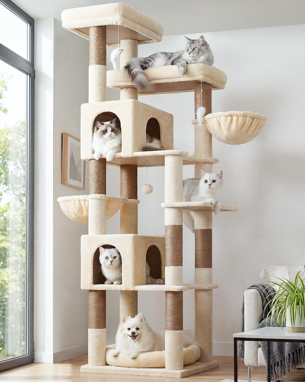 Globlazer 81-inch cat tree top platforms provide elevated observation spots for multi-cat households.