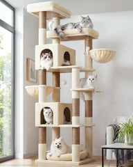 Globlazer 81-inch cat tree top platforms provide elevated observation spots for multi-cat households.