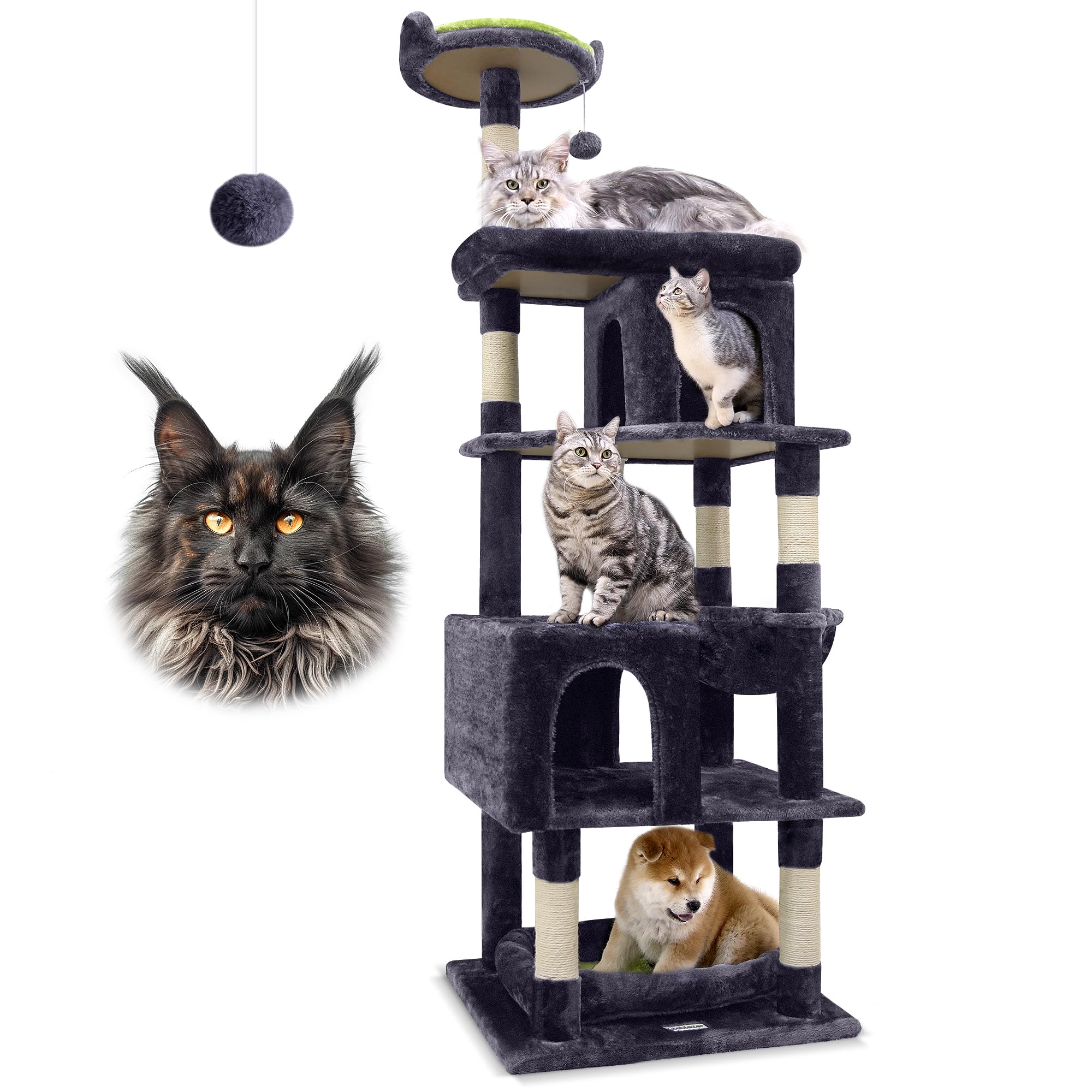 Globlazer heavy-duty cat tree base area provides stable support for big cats.