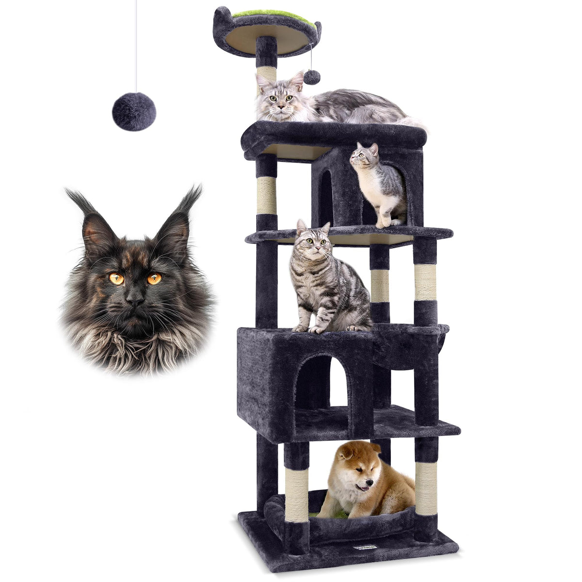 Globlazer heavy-duty cat tree base area provides stable support for big cats.