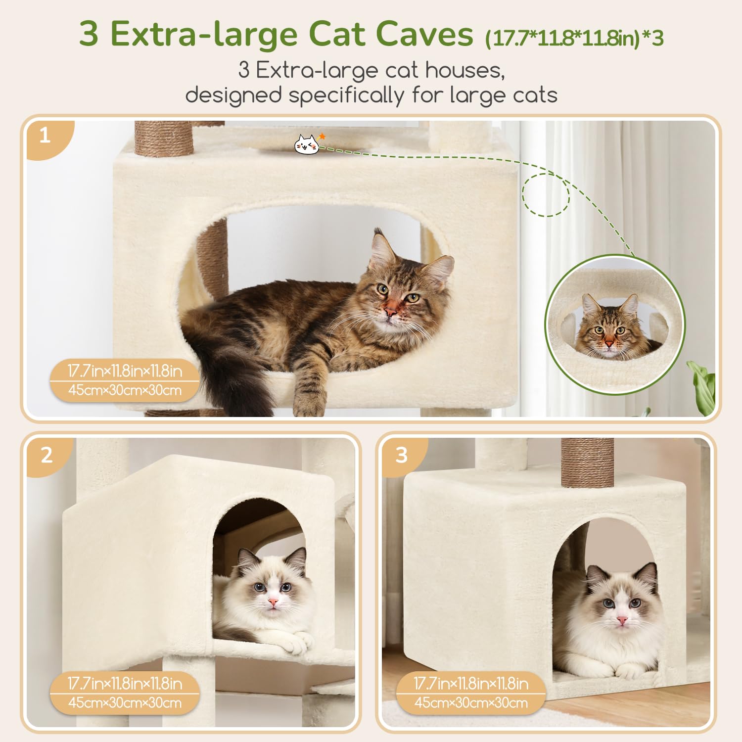 Globlazer heavy-duty base supports multiple large cats with solid footing