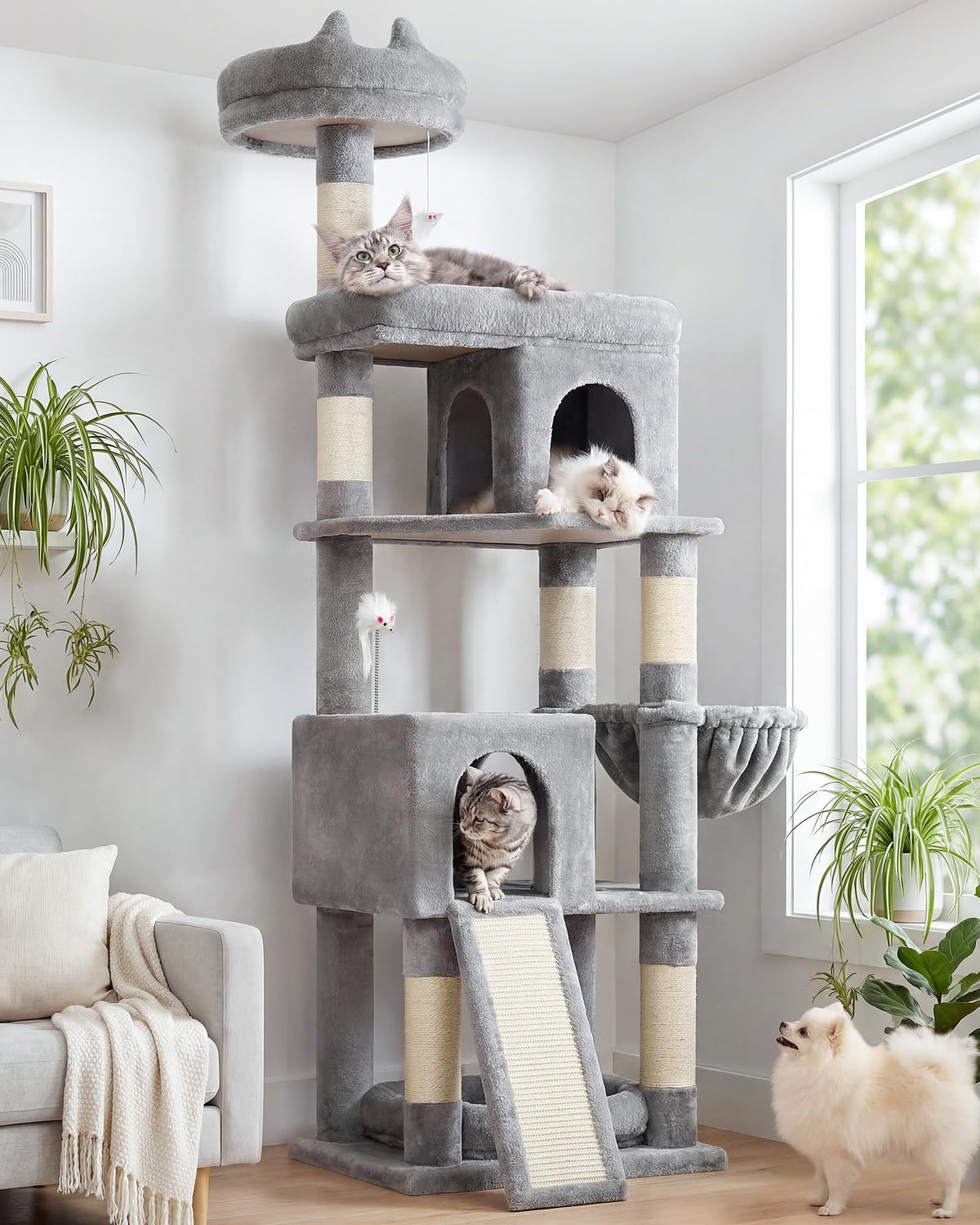Globlazer heavy-duty cat tree base provides solid stability for large cats.