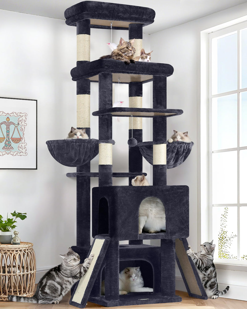 Globlazer heavy-duty cat tree top platform for large cats