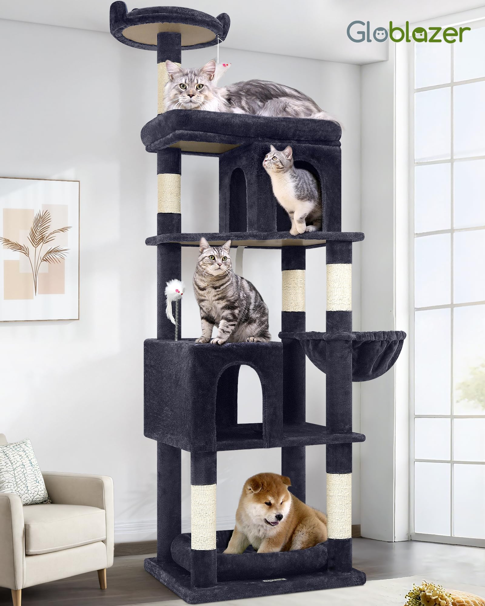 Globlazer independent pet bed provides versatile lounging options.