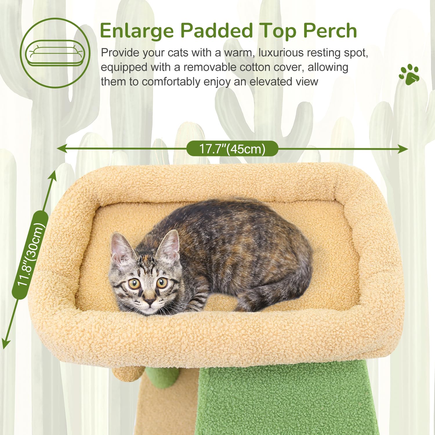 Globlazer large cactus cat tree condo interior for private retreat and nap.