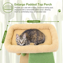 Globlazer large cactus cat tree condo interior for private retreat and nap.
