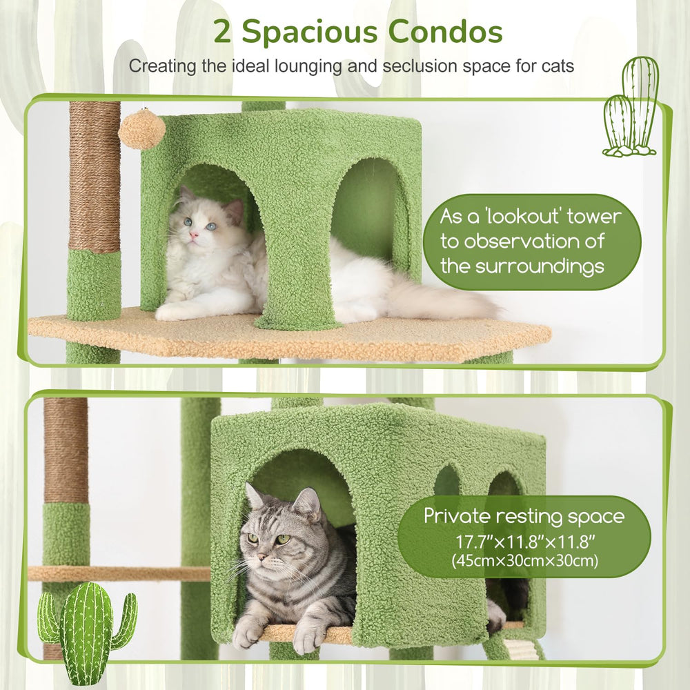 Globlazer cactus cat tree hammock spacious lounging area for adults.