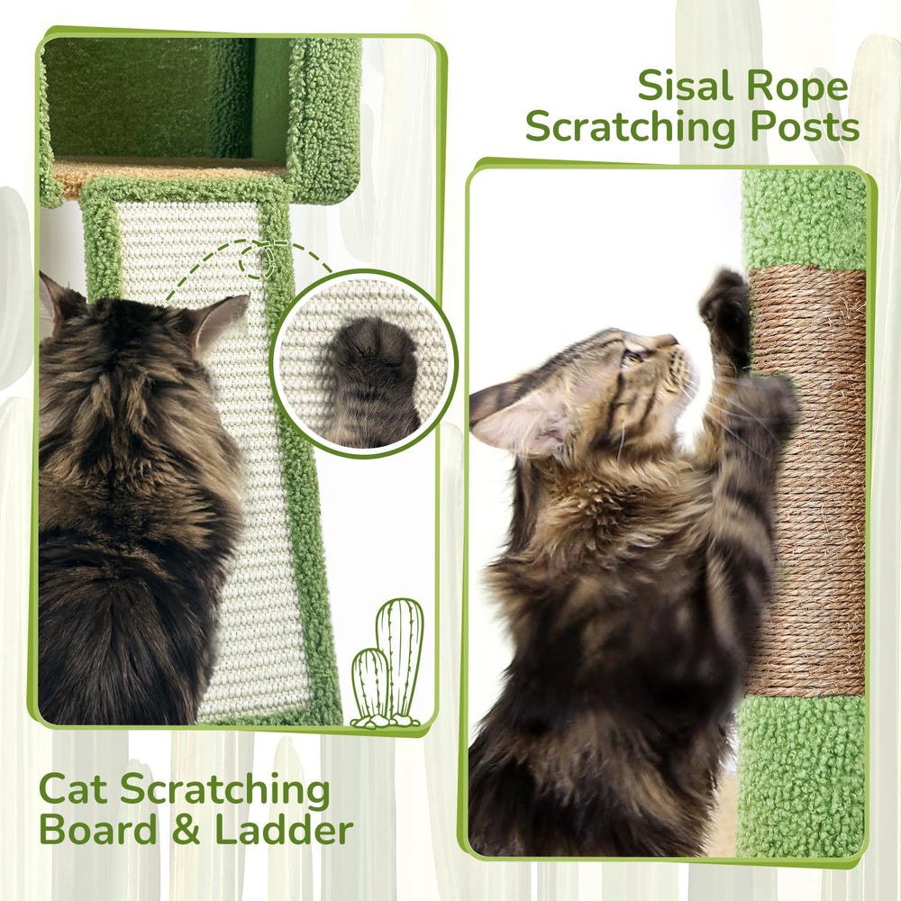 Globlazer cat tree scratching board paired with posts for variety.