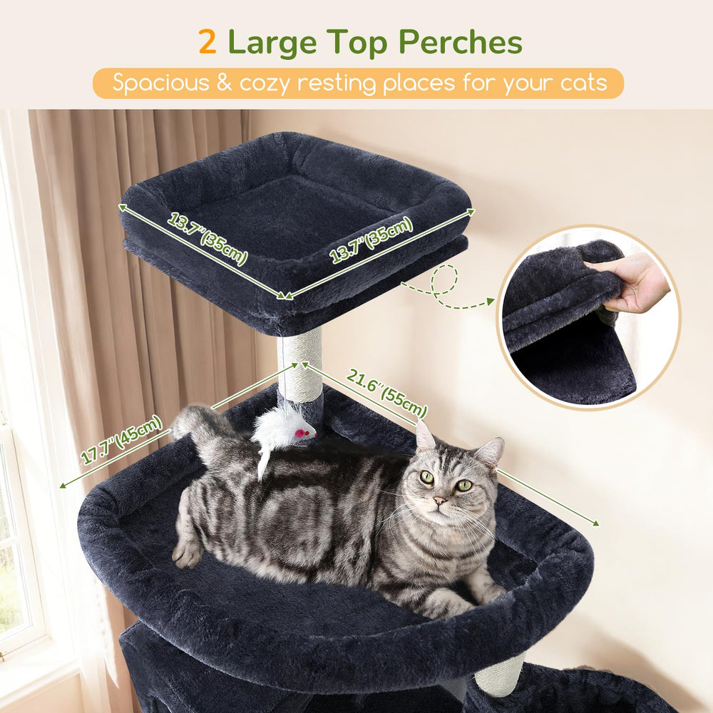 Globlazer S82 large padded perches offer broad observation and comfortable lounging.