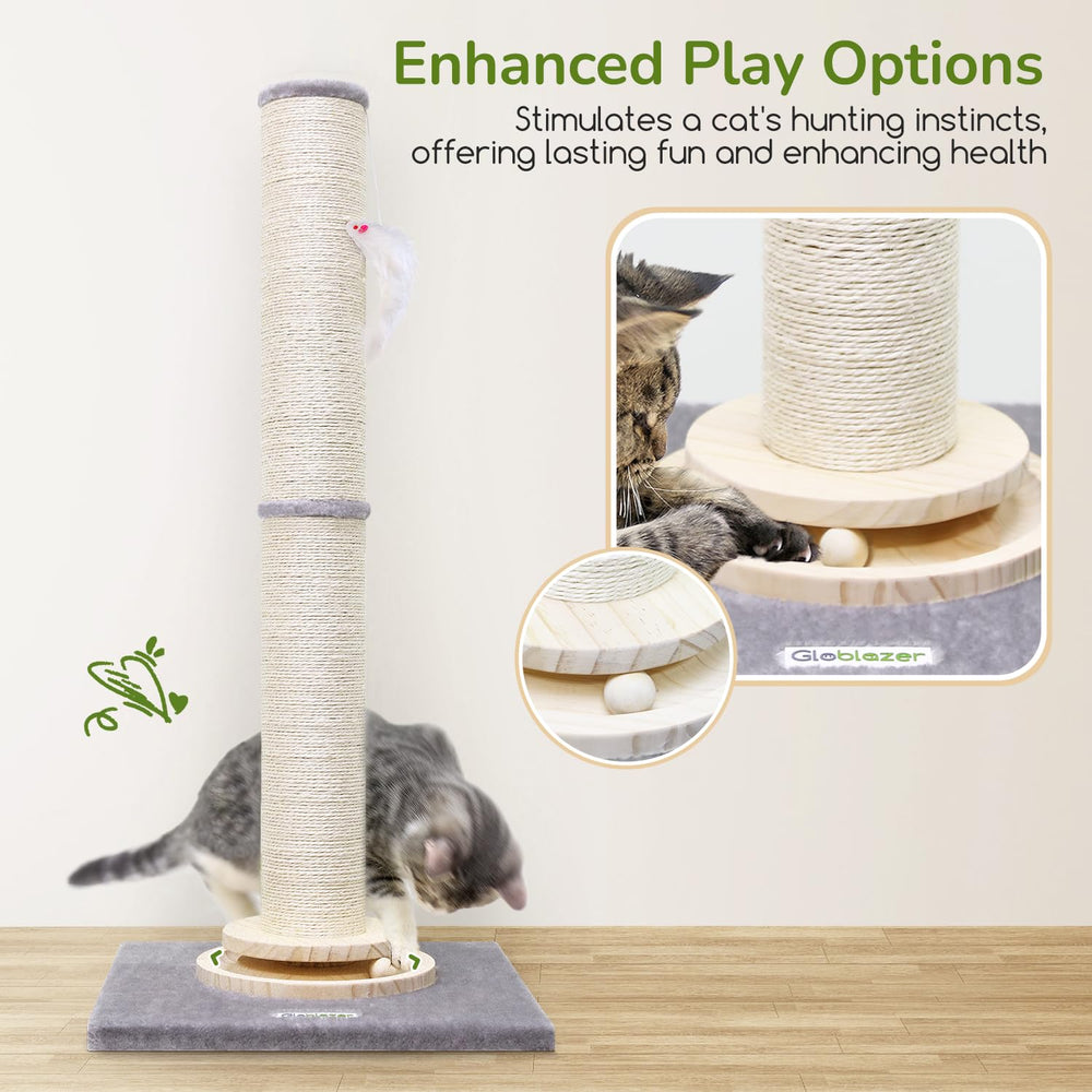 Globlazer solid wood tracking ball offers engaging movement during sessions